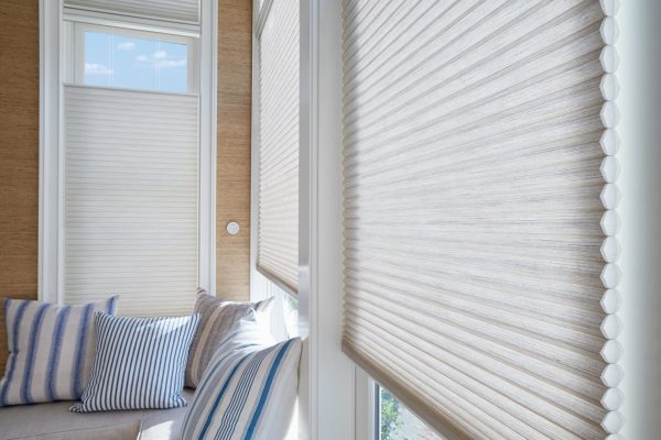 Duette-Honeycomb-Shades-alexa-mediumdetail-1-1